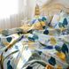 Комплект постільної білизни Вилюта двоспальний Сатин Twill 576