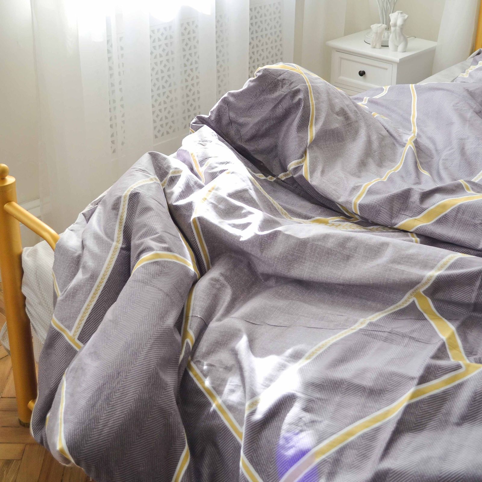 Комплект постільної білизни Вилюта полуторний Сатин Twill 569
