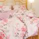 Комплект постільної білизни Isleep полуторний Сатин Twill 33