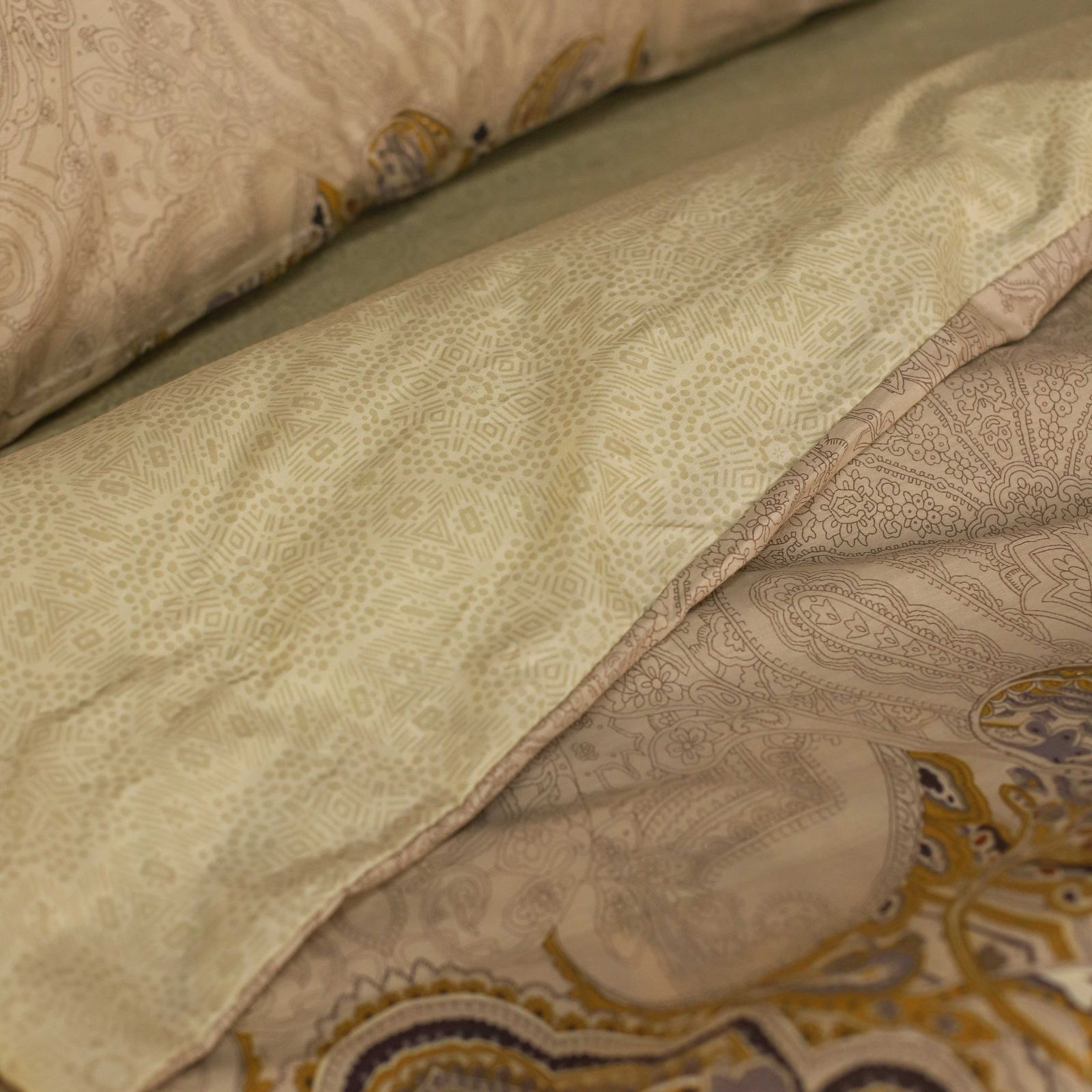 Комплект постільної білизни Isleep полуторний Сатин Twill 46